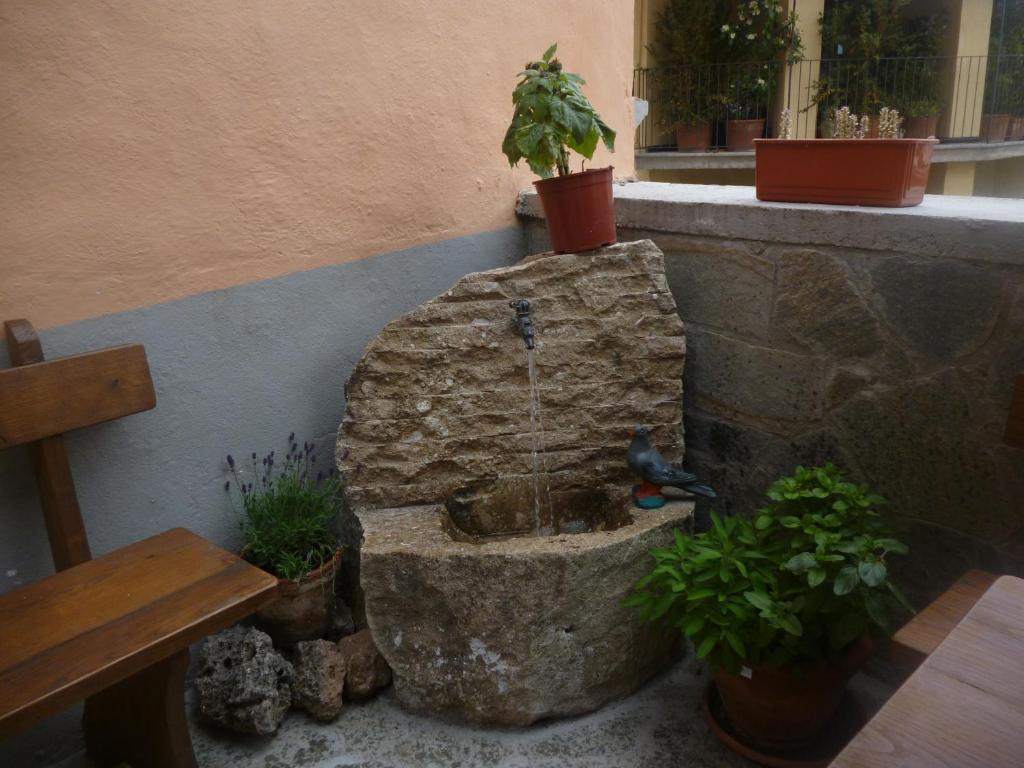 B&B Pisolo E I Persi Pien Roccasparvera Екстериор снимка